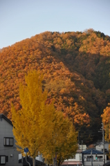 但馬國　山が燃えている？