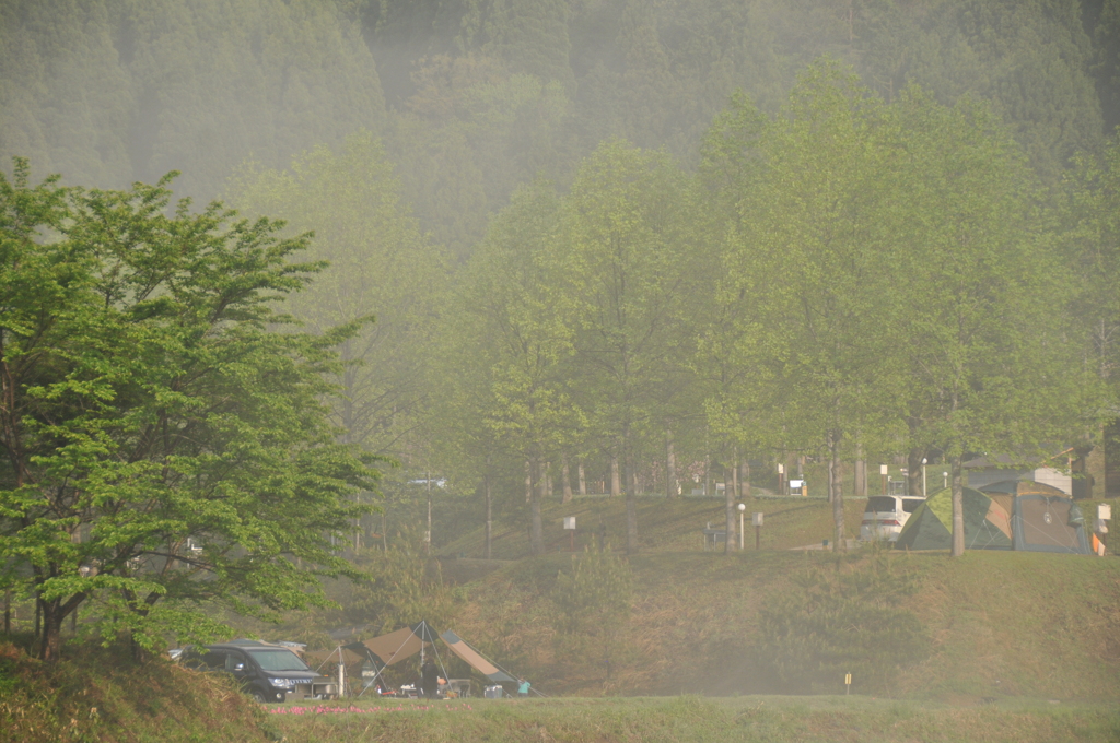 但馬國　GW 湯の原温泉オートキャンプ場の朝③