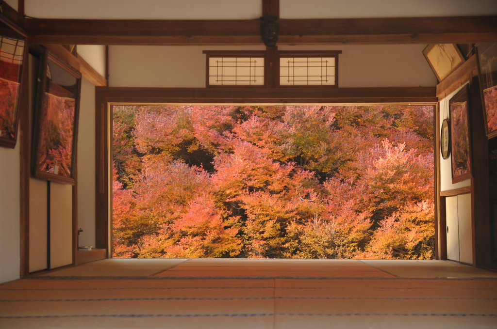 但馬國　但東町安国寺