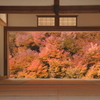 但馬國　但東町安国寺