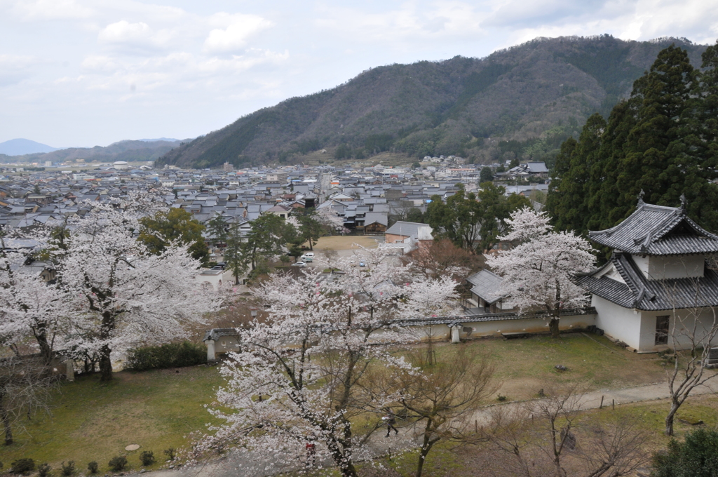 但馬國　出石藩　但馬の小京都全景