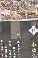 但馬國　小佐の郷　小佐小学校