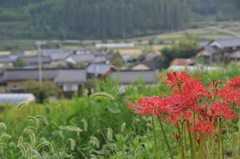 但馬國　小佐の郷　珍坂トンネルより