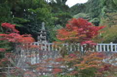 但馬國　湯村温泉　秋