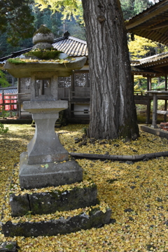 但馬國　小佐の郷　石原　日光院