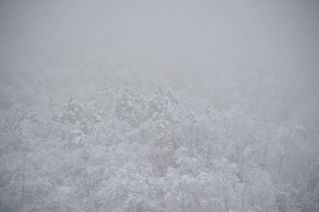 但馬國　雪国で～す①