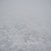 但馬國　雪国で～す①