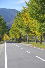 但馬國　神鍋高原　中央駐車場付近②