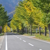 但馬國　神鍋高原　中央駐車場付近②