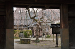 但馬國　出石藩　家老屋敷②