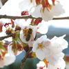 春活動開始