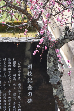 但馬國　八鹿　小佐の郷　旧小佐小学校