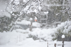 但馬國　雪国　