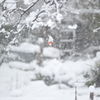 但馬國　雪国　