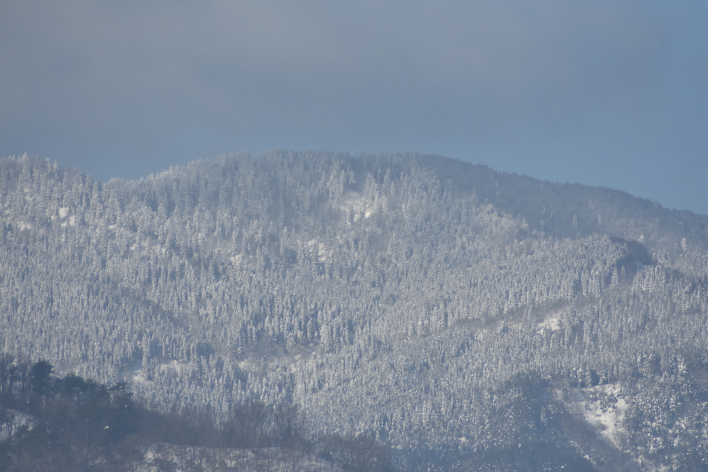 但馬國　小佐の郷　妙見山　雪