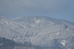 但馬國　小佐の郷　妙見山　雪