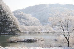 但馬國　　円山川　（伊佐　船山③