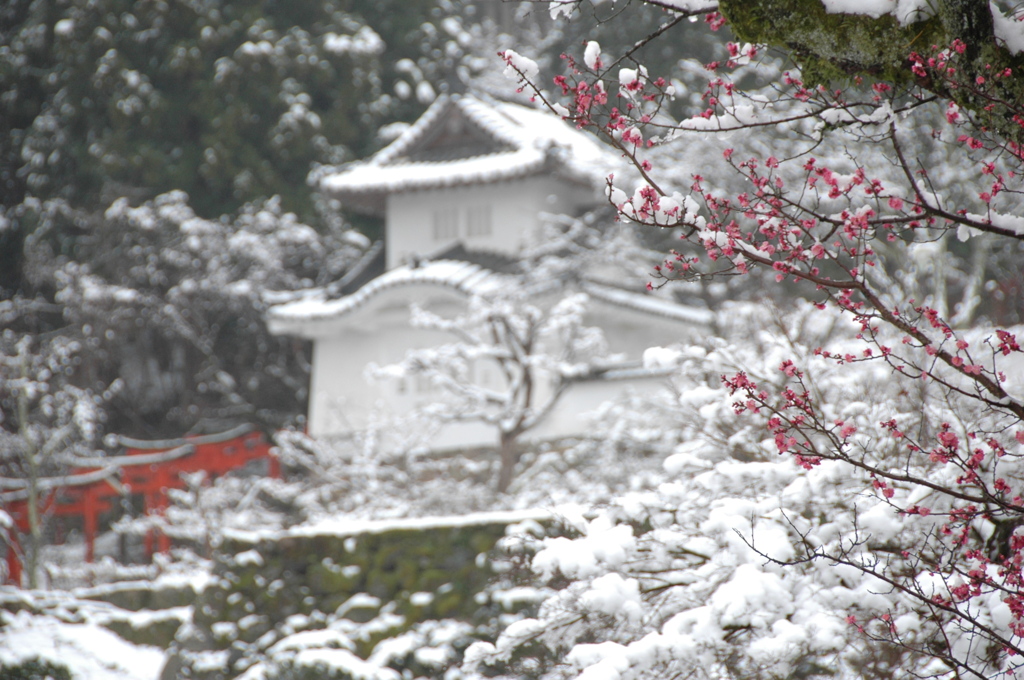 但馬國　春の雪　出石城　①