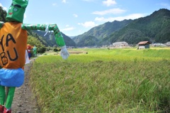 但馬國　小佐の郷　実りの秋　案山子