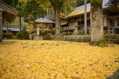 但馬國　小佐の郷　日光院