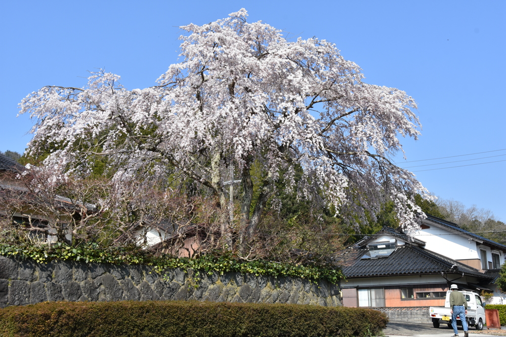 但馬國　養父　伊佐の郷　浅間　佐々木邸①