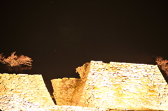 但馬國 竹田城 ライトアップ 天守閣 