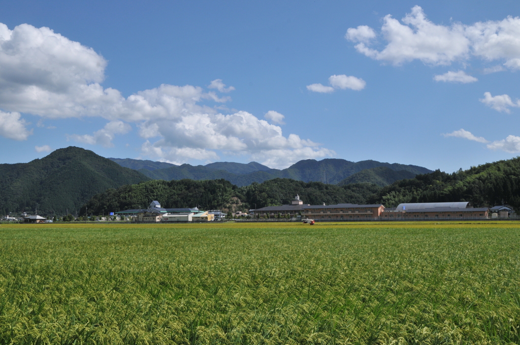 但馬國　実りの秋と空