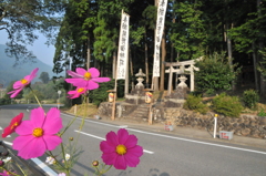 但馬國　秋祭り