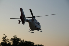 但馬國　コードブルー①