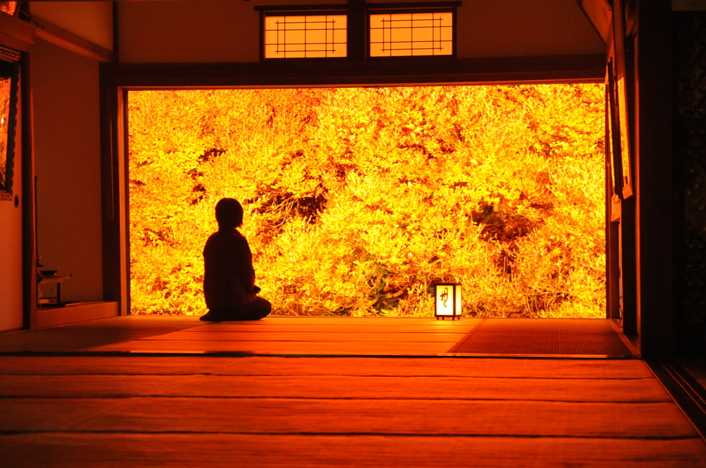 但馬國　燃ゆる安国寺
