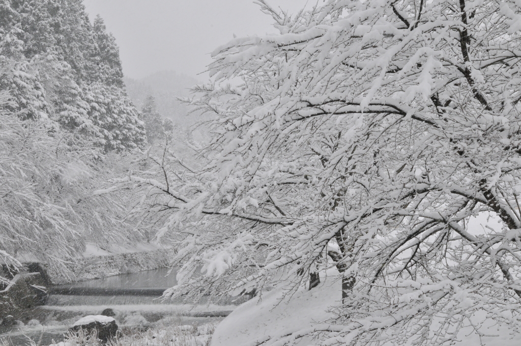 但馬國　小佐の郷　なごり雪③