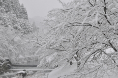 但馬國　小佐の郷　なごり雪③