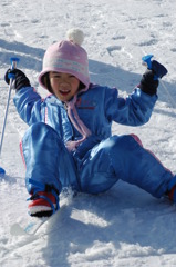 但馬國　初こけ！