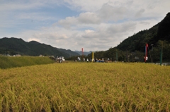 但馬國　小佐の郷　秋の収穫　②
