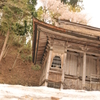 但馬國 八鹿小佐の郷 名草神社 桜