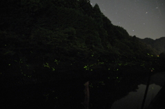 但馬國　小佐の郷　ほたる①