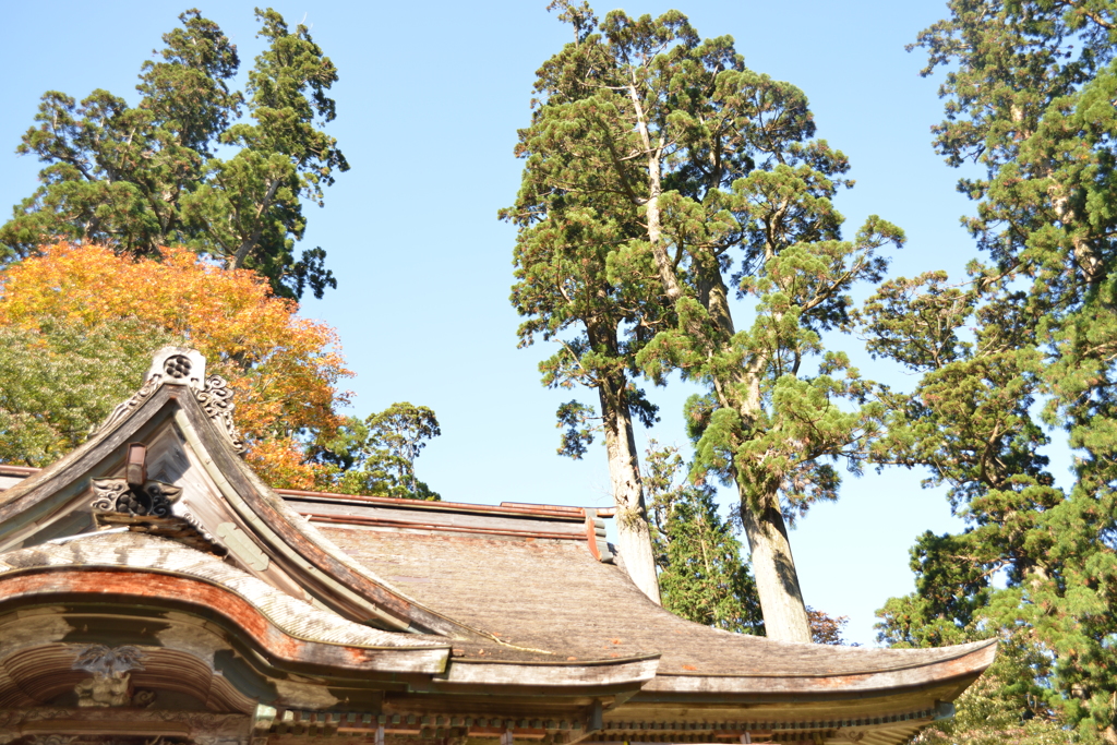 但馬國　小佐の郷　妙見山　名草神社　本殿