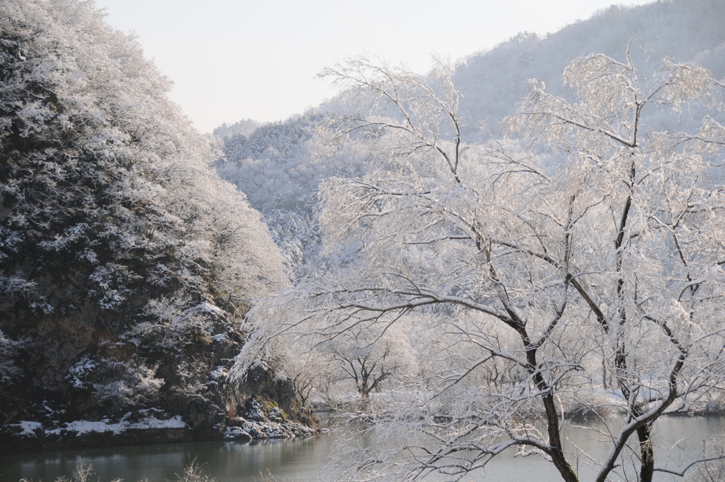 但馬國　　円山川　（伊佐　船山②