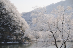 但馬國　　円山川　（伊佐　船山②