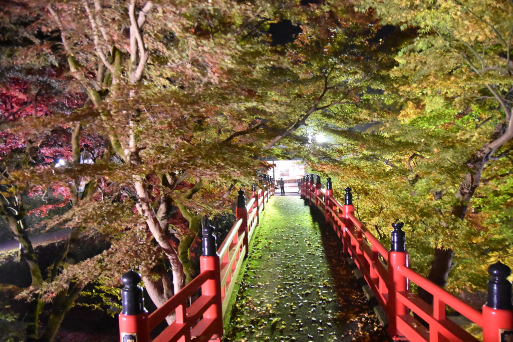 但馬國　養父神社②