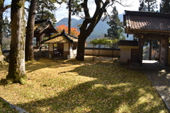 但馬國　小佐の郷　石原　日光院②
