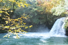 但馬國　日高　十戸の滝