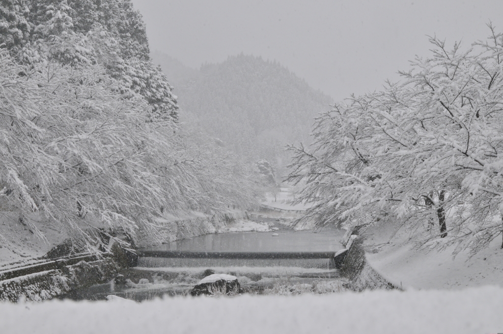 但馬國　小佐の郷　なごり雪⑤