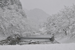 但馬國　小佐の郷　なごり雪⑤