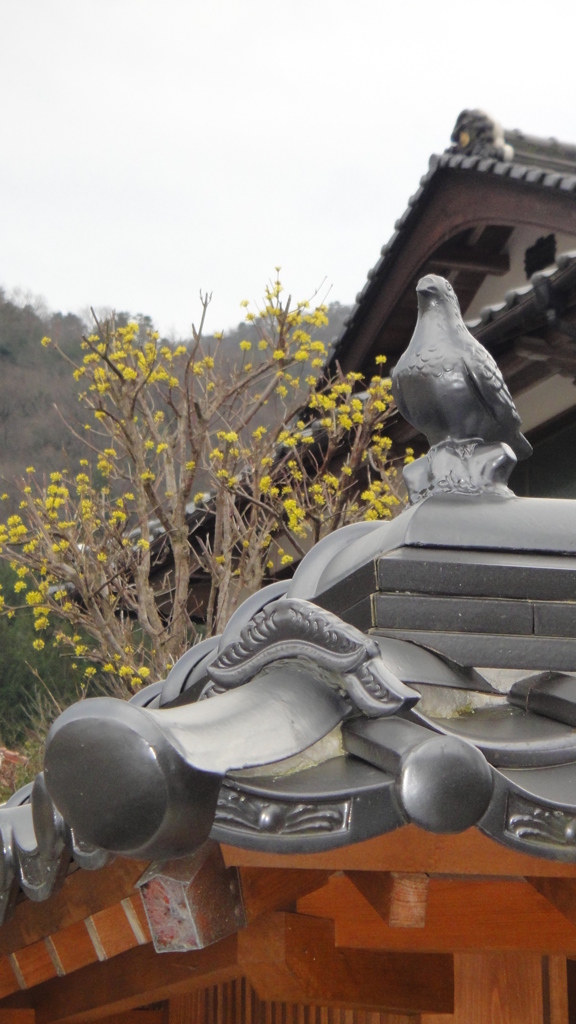 但馬國　出石藩　春の便り