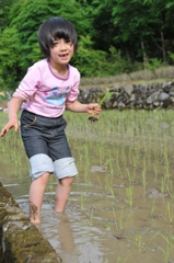 但馬國　初めての田植え②