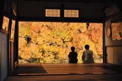 但馬國　安国寺　ドウダンツツジ