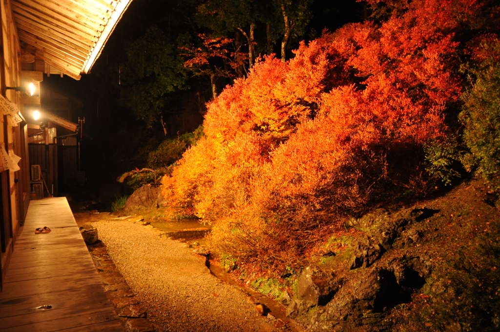 但馬國　　安国寺　
