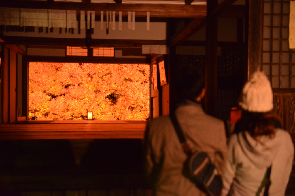 但馬國　出石藩　但東町　安国寺　ドウダンツツジ　③