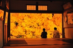 但馬國　安国寺　ドウダンツツジ　②